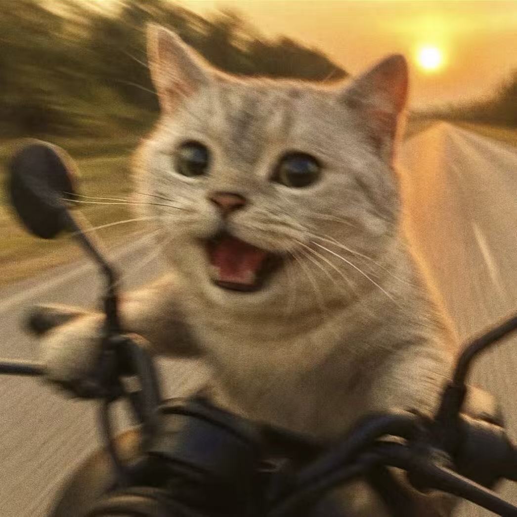 欢迎光临 👋